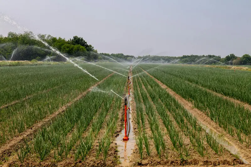 MaxRooter Irrigation Systems Services β Licensed & Insured Irrigation Systems Services β MaxRooter licensed plumbers